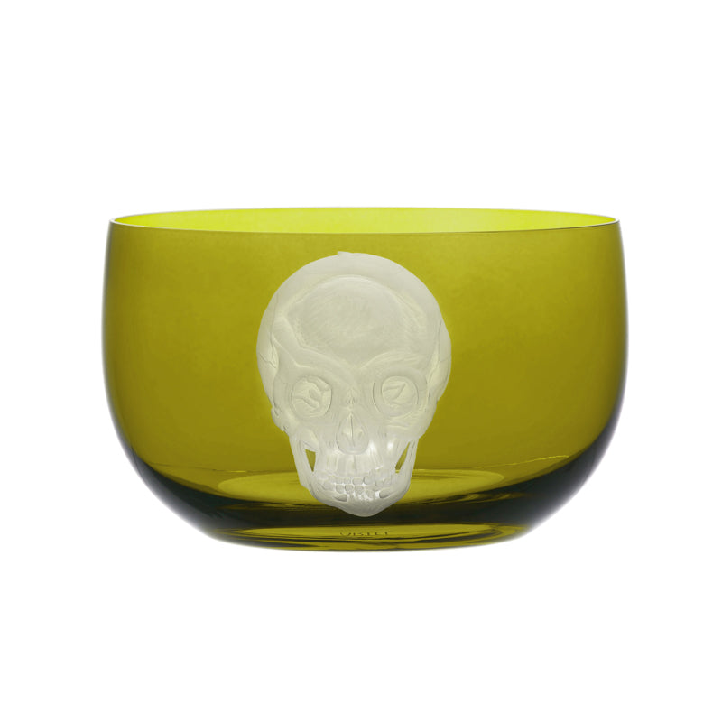 Cabinet of Curiosities Skull