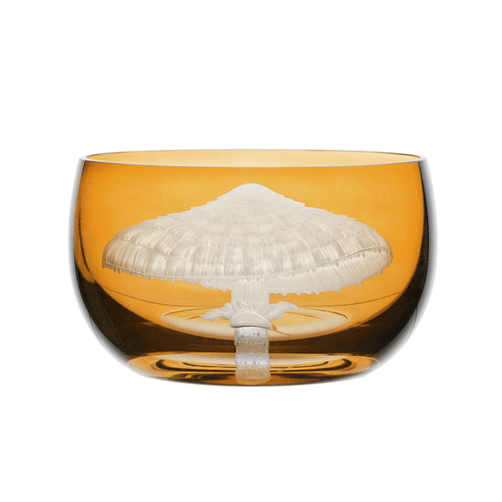 Mushrooms Parasol