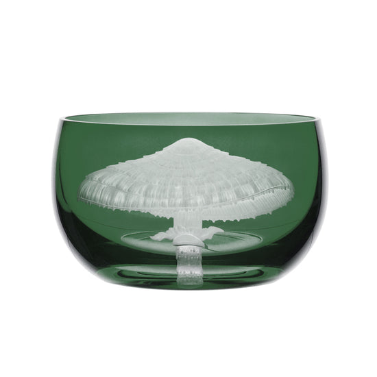Mushrooms Parasol