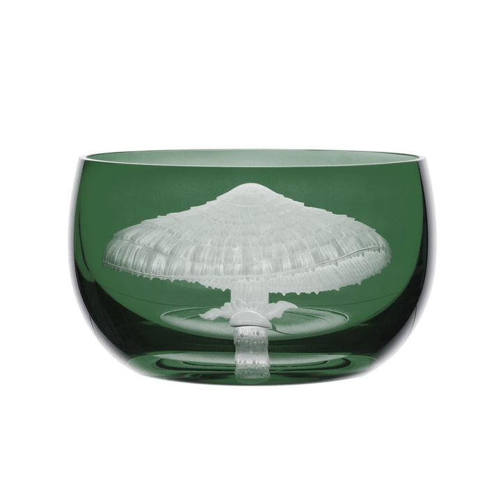 Mushrooms Parasol