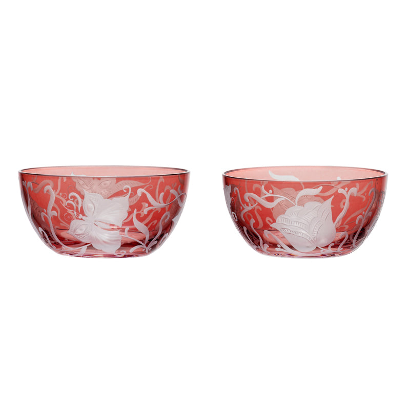 Social Butterflies
