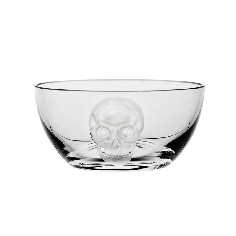 Cabinet of Curiosities Skull