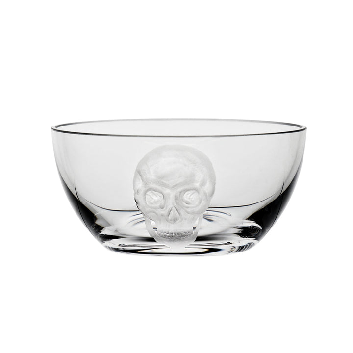 Cabinet of Curiosities Skull