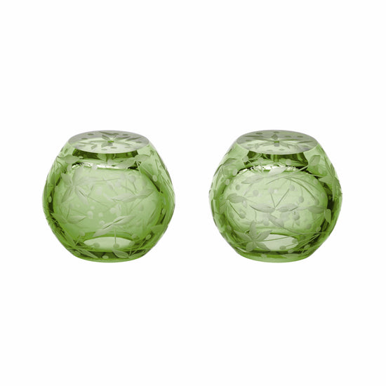 Narcissus