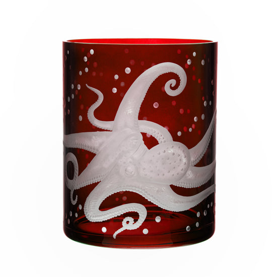 Sea Life Octopus