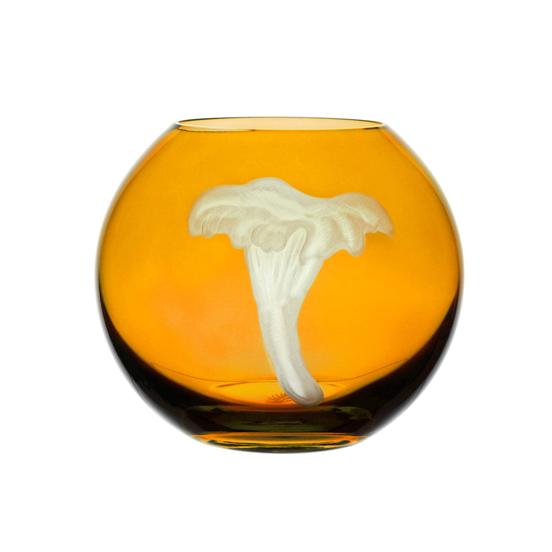Mushrooms Chanterelle