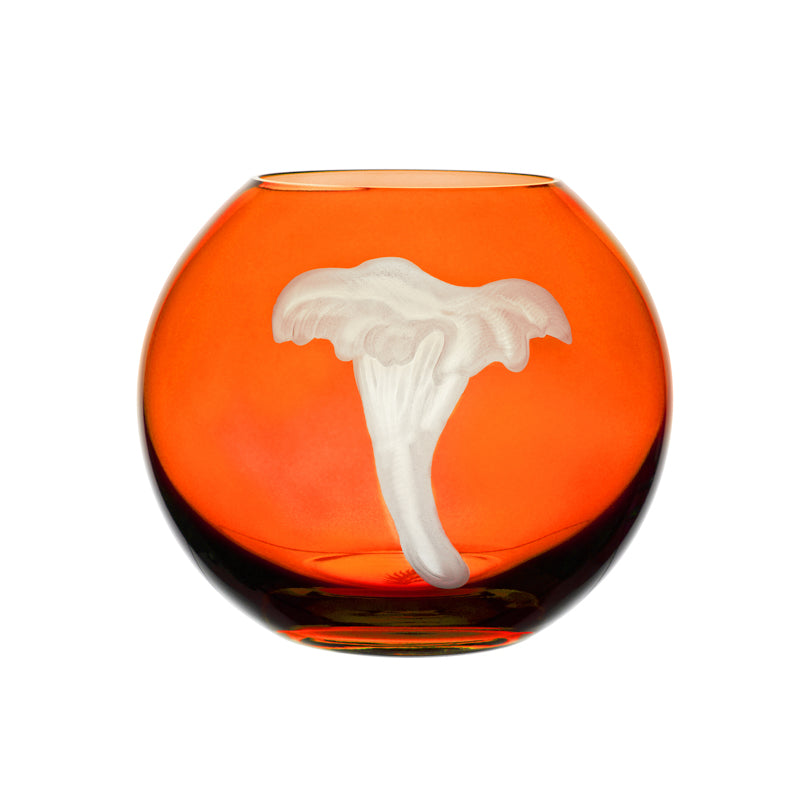 Mushrooms Chanterelle