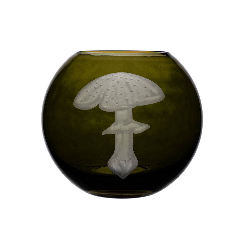 Mushrooms Fly Amanita