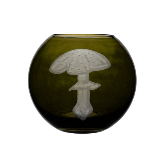 Mushrooms Fly Amanita