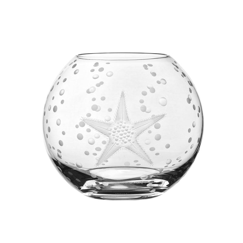 Sea Life Starfish