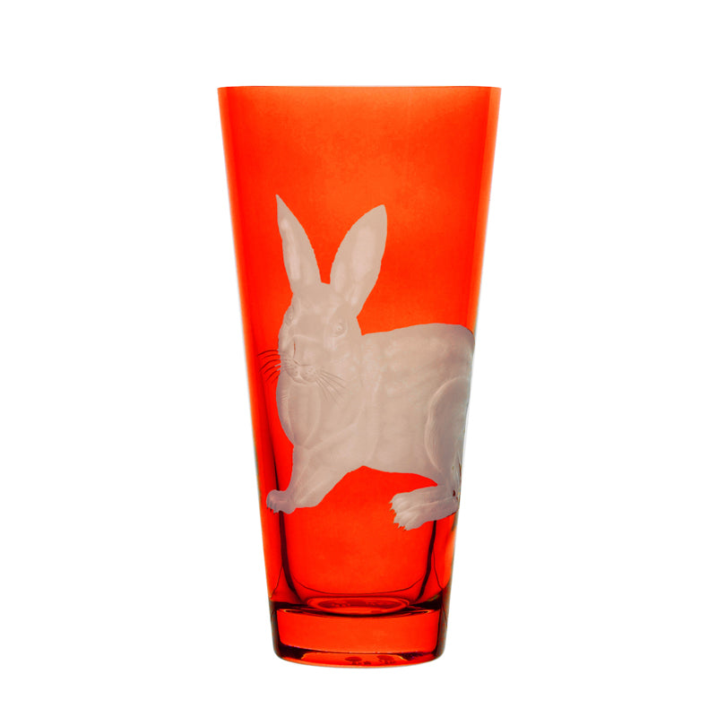 Barnyard Rabbit