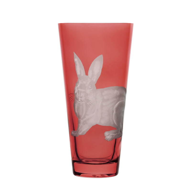 Barnyard Rabbit