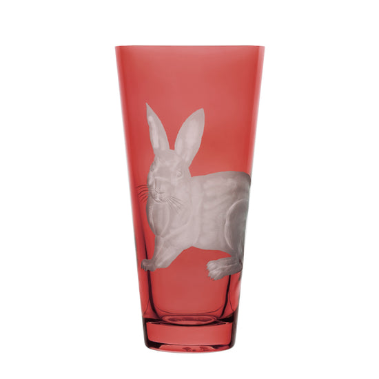 Barnyard Rabbit