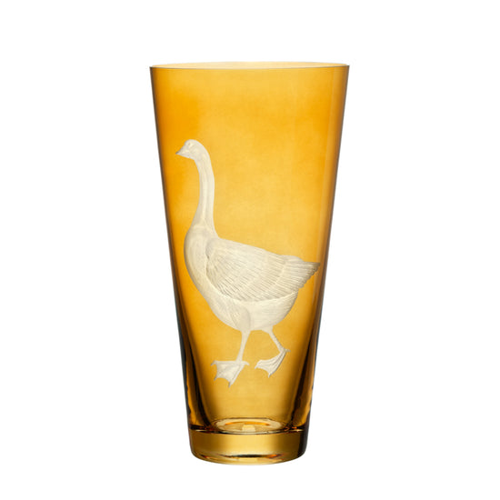 Barnyard Goose
