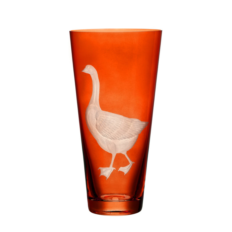 Barnyard Goose