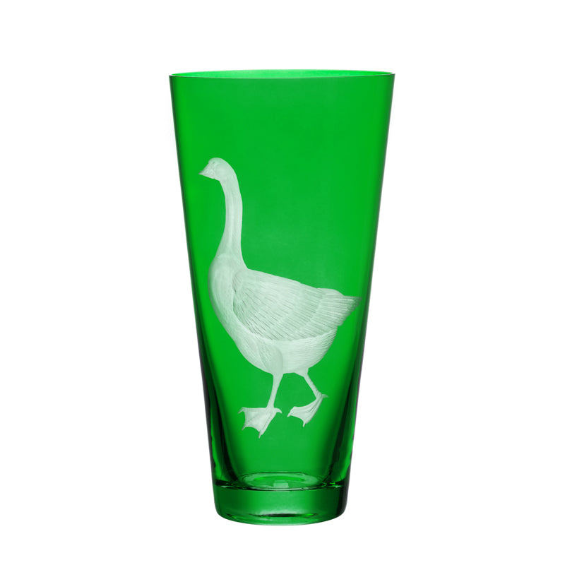 Barnyard Goose