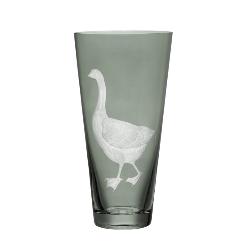 Barnyard Goose