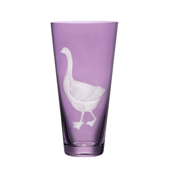 Barnyard Goose