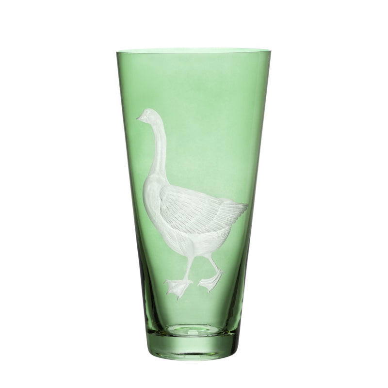 Barnyard Goose