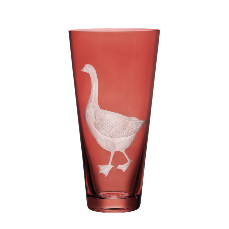Barnyard Goose