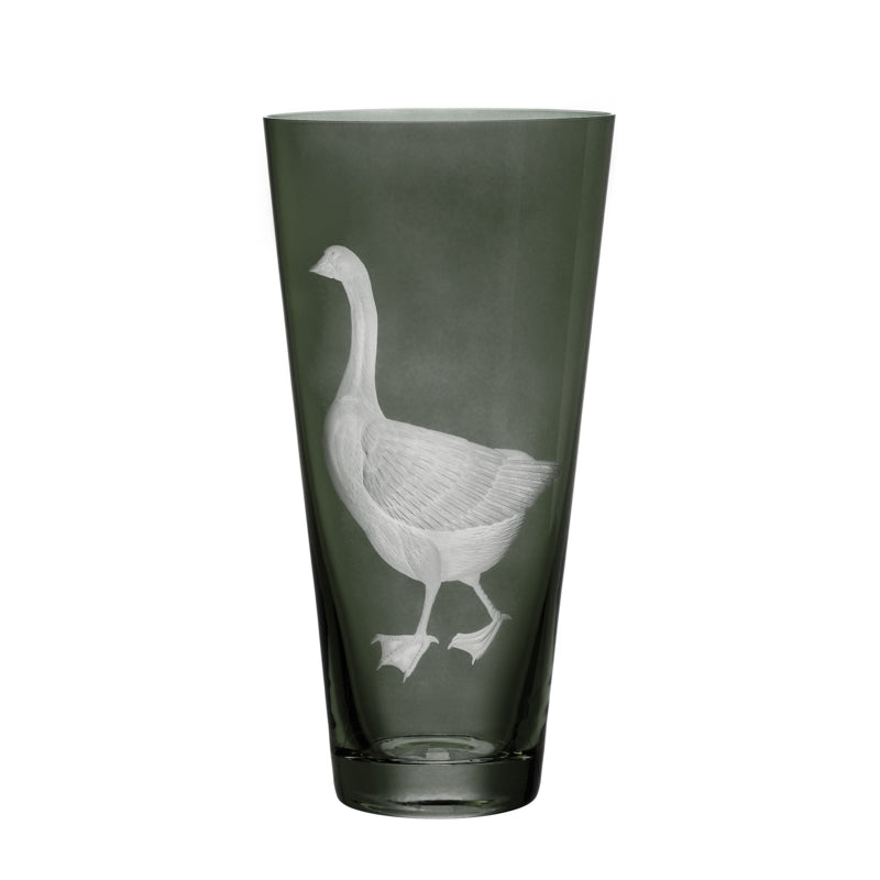 Barnyard Goose