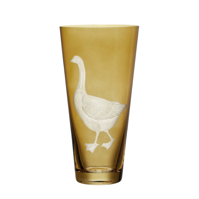 Barnyard Goose
