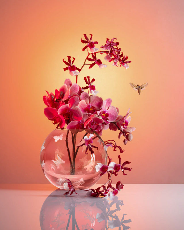 Fly Fusion Butterfly