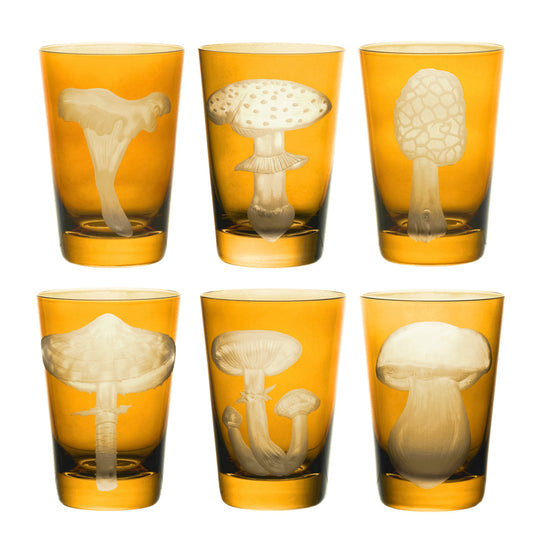 Mushrooms Morel