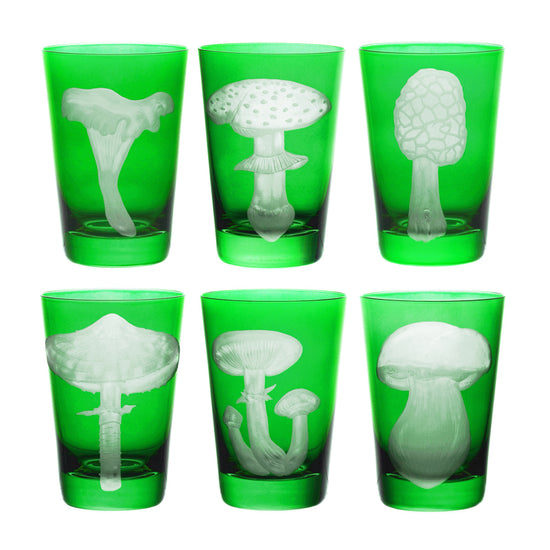 Mushrooms Collection Set