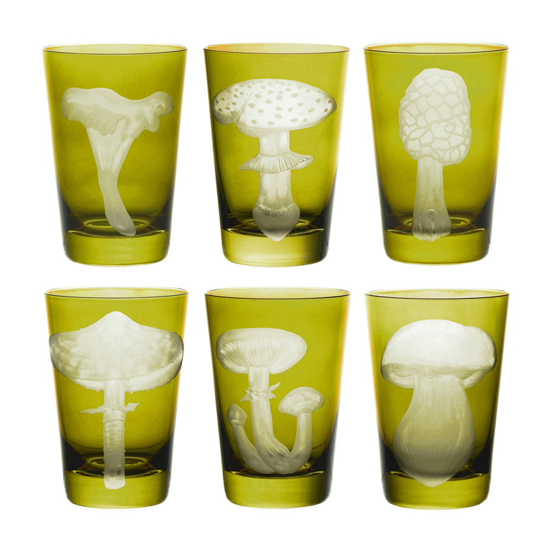 Mushrooms Parasol