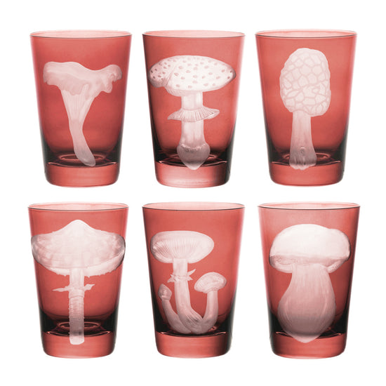 Mushrooms Parasol