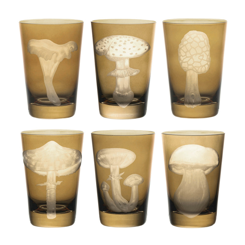 Mushrooms Morel