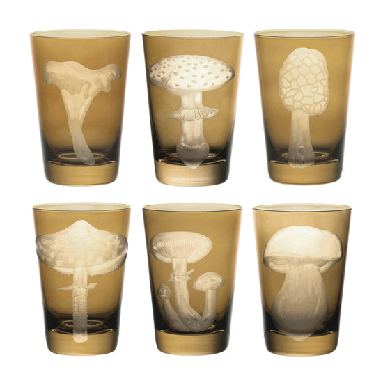 Mushrooms Morel