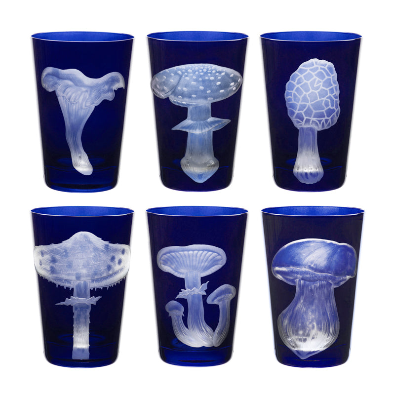 Mushrooms Parasol
