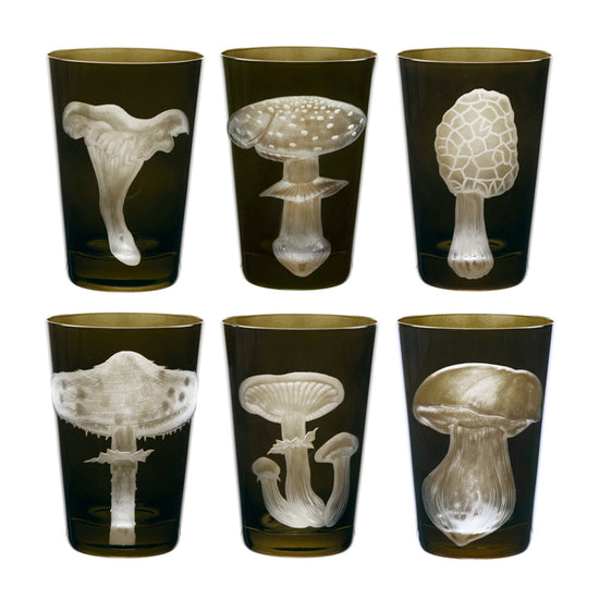 Mushrooms Morel