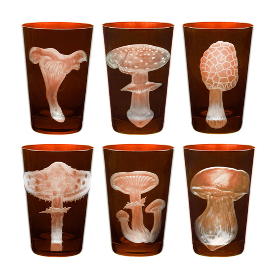 Mushrooms Collection Set