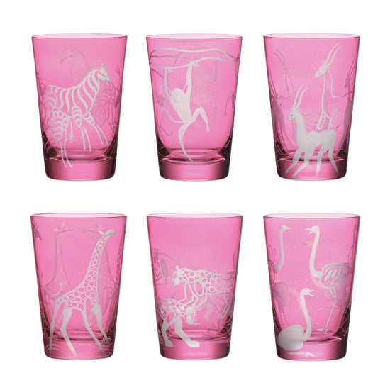 Safari Giraffes