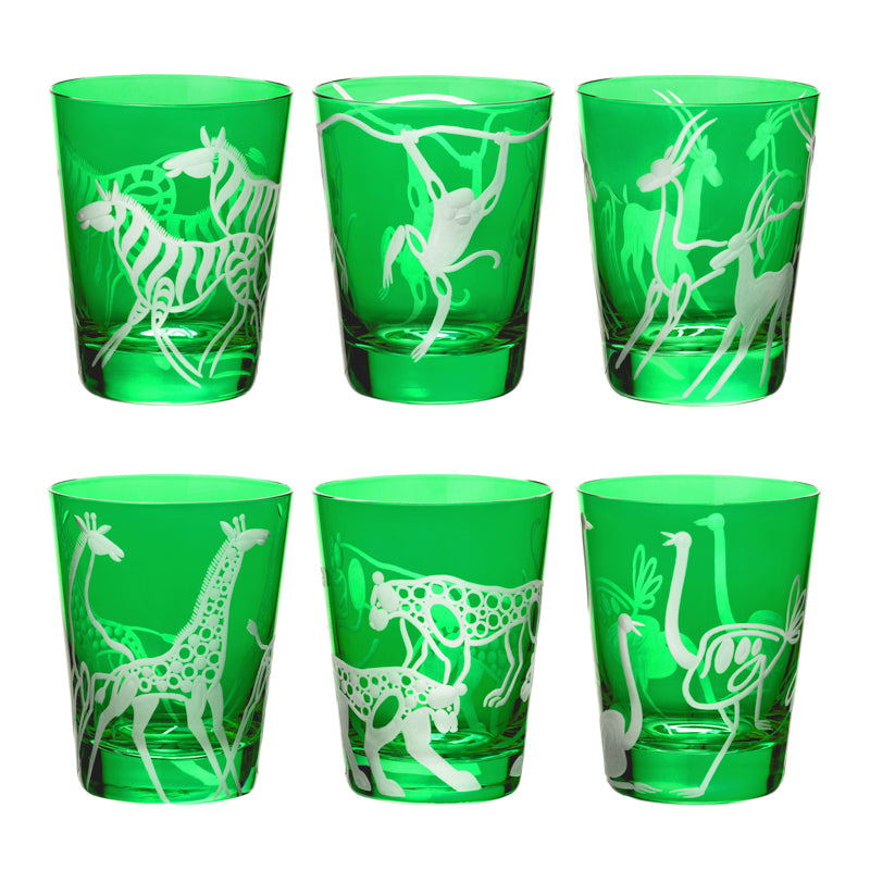 Safari Giraffes