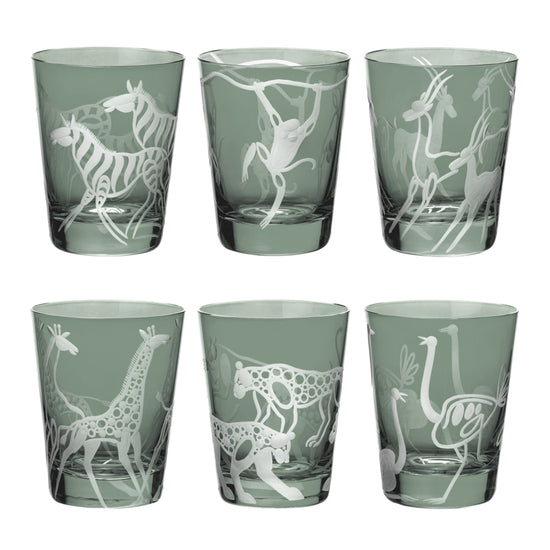 Safari Ostriches