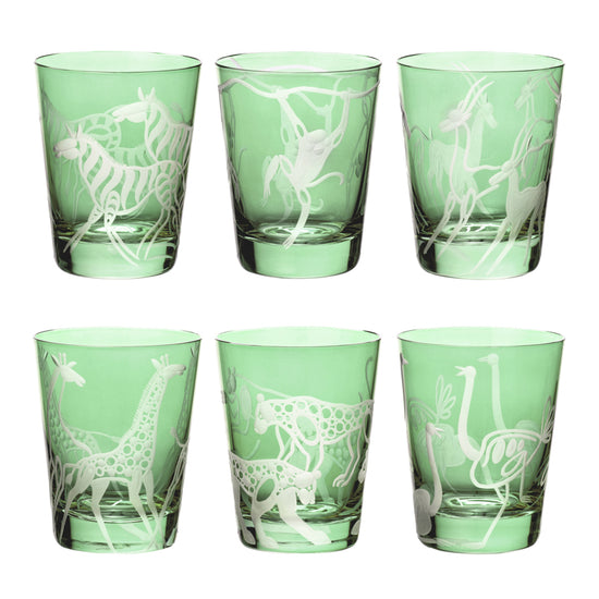 Safari Giraffes