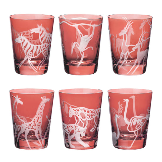 Safari Giraffes