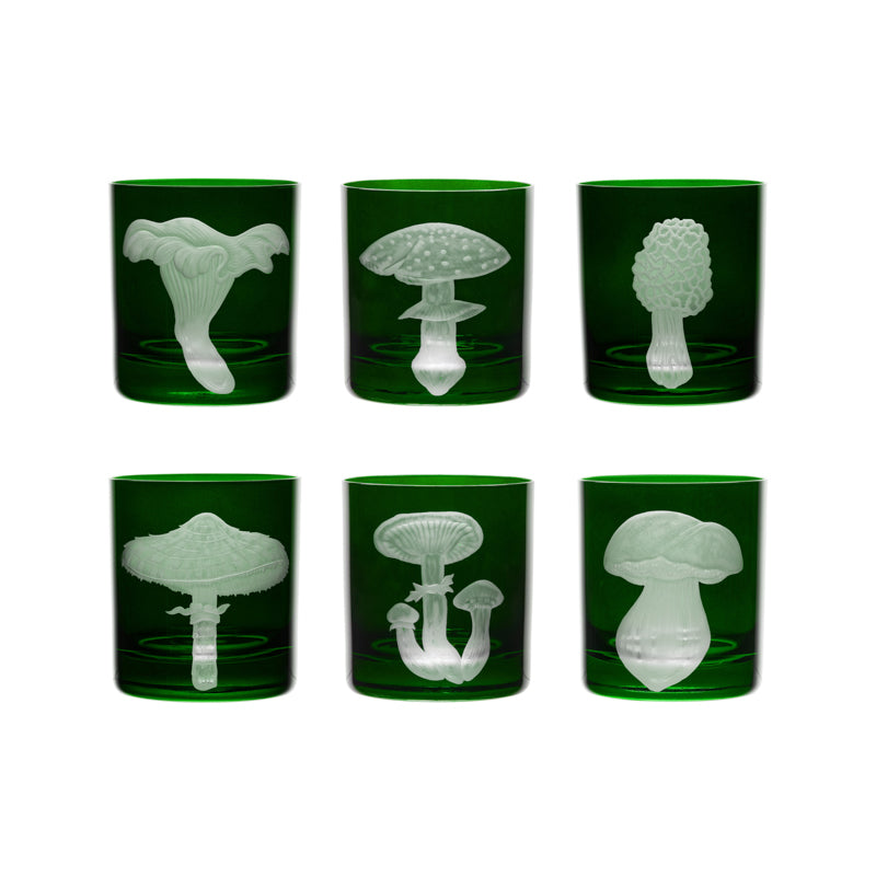 Mushrooms Morel