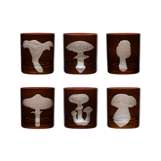 Mushrooms Honey Fungus