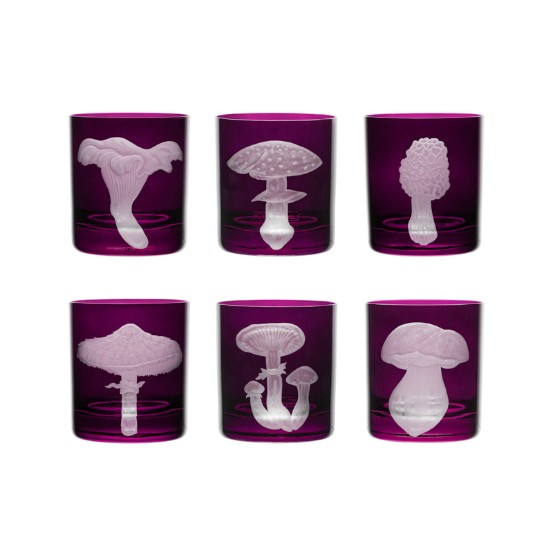 Mushrooms Morel