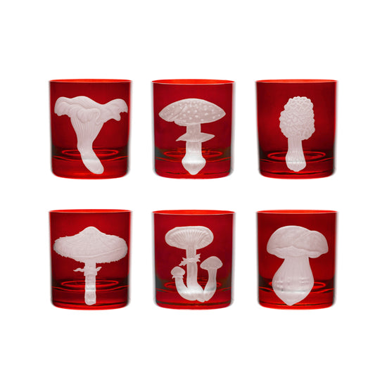 Mushrooms Fly Amanita