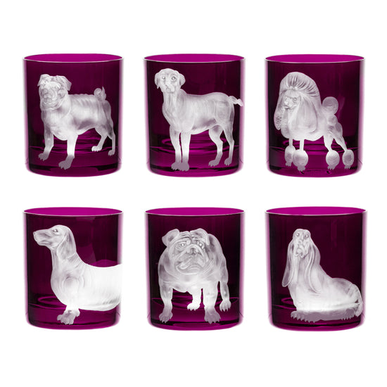 Dog Collection Set