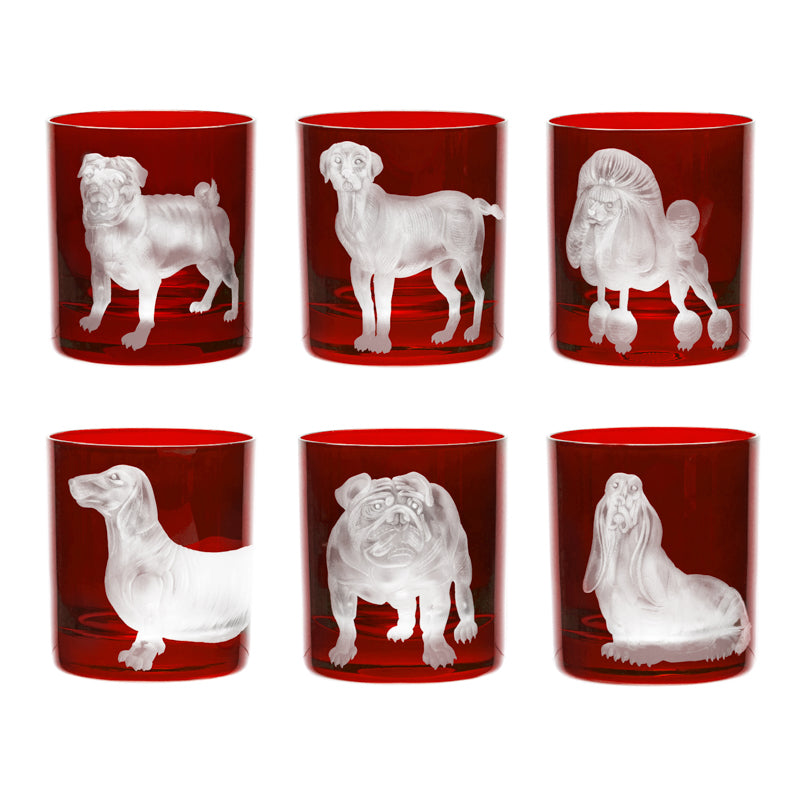 Dog Collection Set