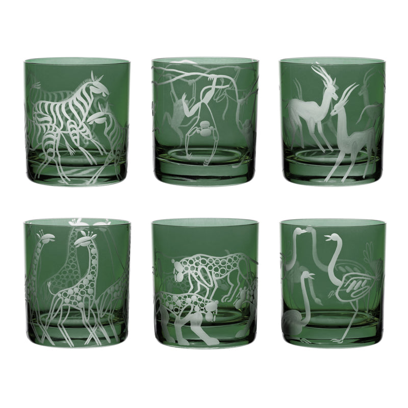 Safari Giraffes