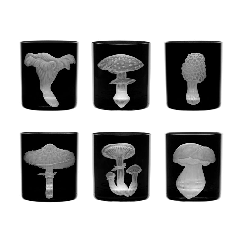 Mushrooms Fly Amanita