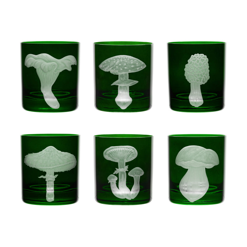 Mushrooms Morel